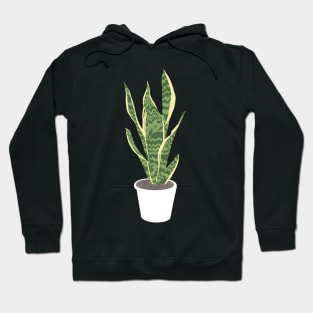 Snake Plant Illustration Hoodie